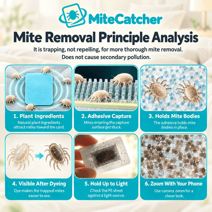 MiteCatcher™